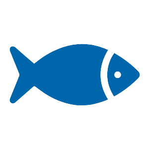 fisk