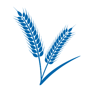 oat