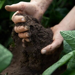 Sustainability_Teaser