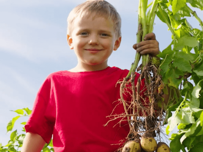 Child at regenerative farm