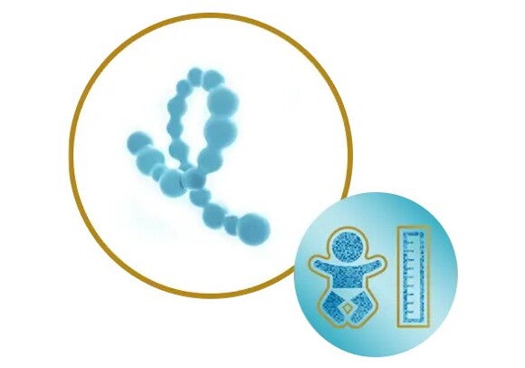 Aldersoptimeret protein ikon Aldersoptimeret protein ikon