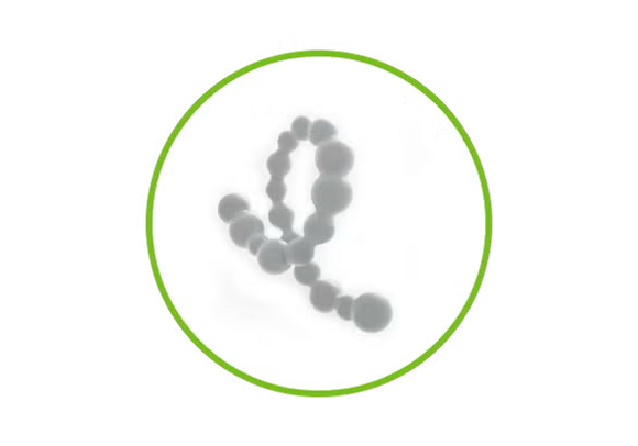 Aldersoptimeret protein ikon