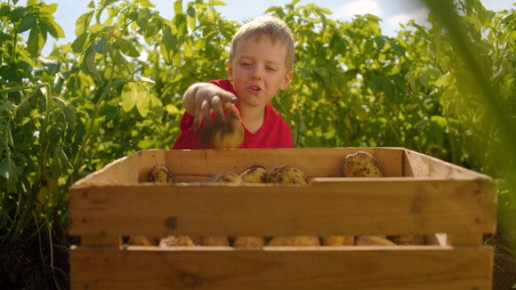 child at regenerative farm